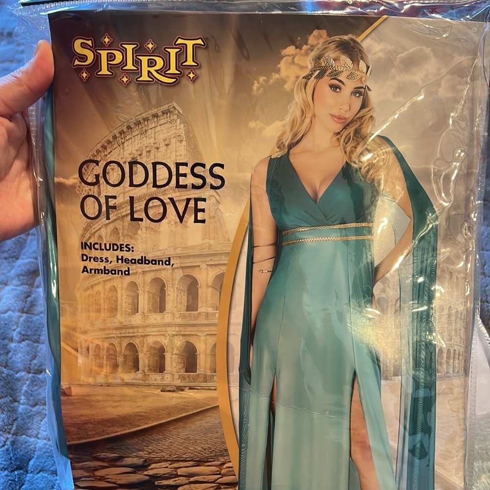 Goddess of love costume